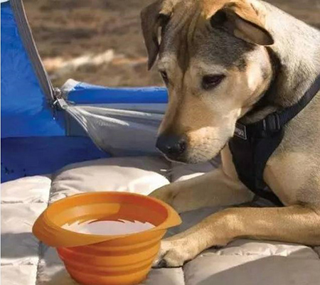 東莞<a href='http://www.mhyyy.cn/' class='keys' title='點(diǎn)擊查看關(guān)于帝博硅膠制品廠的相關(guān)信息' target='_blank'>帝博硅膠制品廠</a>