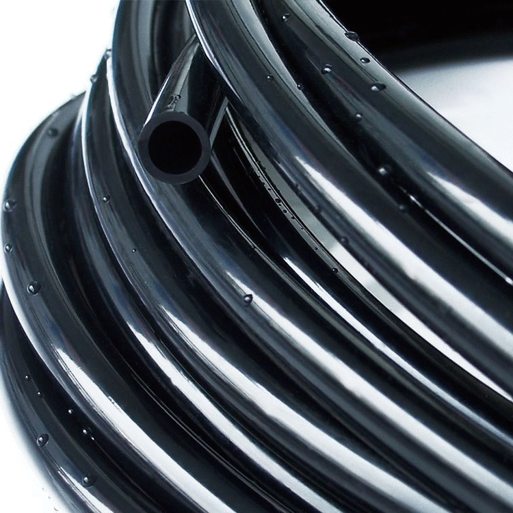 bdfvsvs.gif bdfvsvs.gif